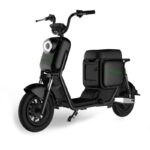 scooter-electrica-de-1000w-tekuon-q3 (2)